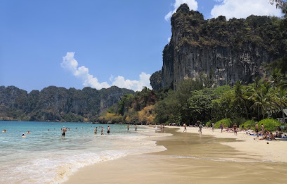 Melina's monkey house and whale bar Attraction Pictures