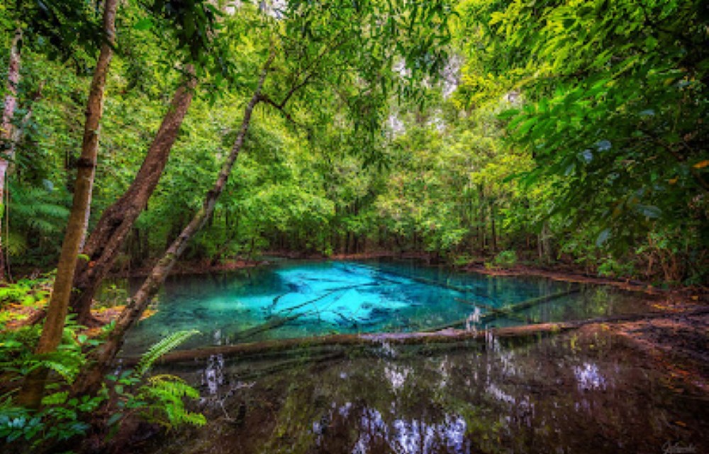 Melina's monkey house and whale bar Attraction Pictures