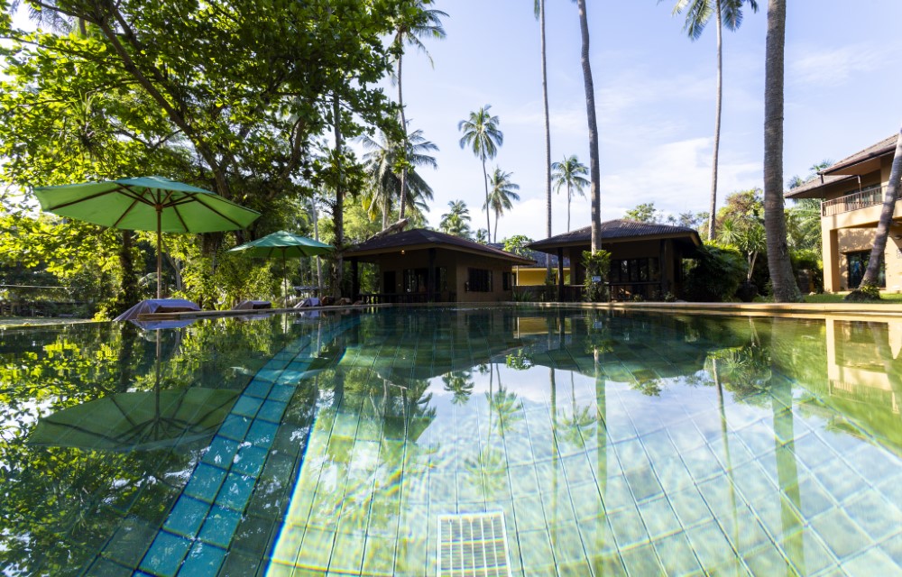 Melina's monkey house and whale bar Blog Pictures