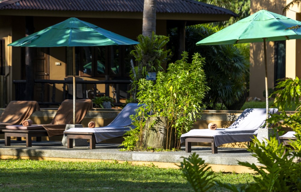 Melina's monkey house and whale bar Blog Pictures