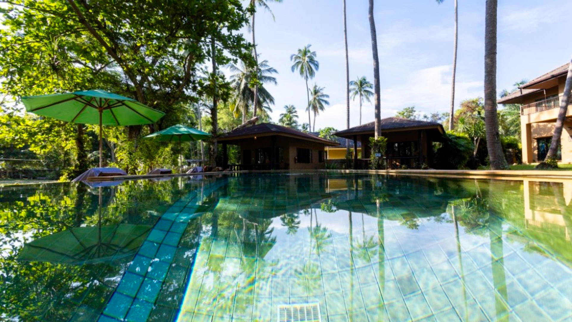 Melina's Monkey House And Whale Bar Slider 1