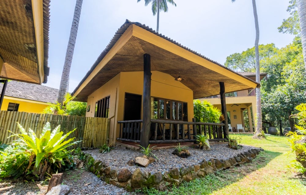 Melina's monkey house and whale bar Blog Pictures